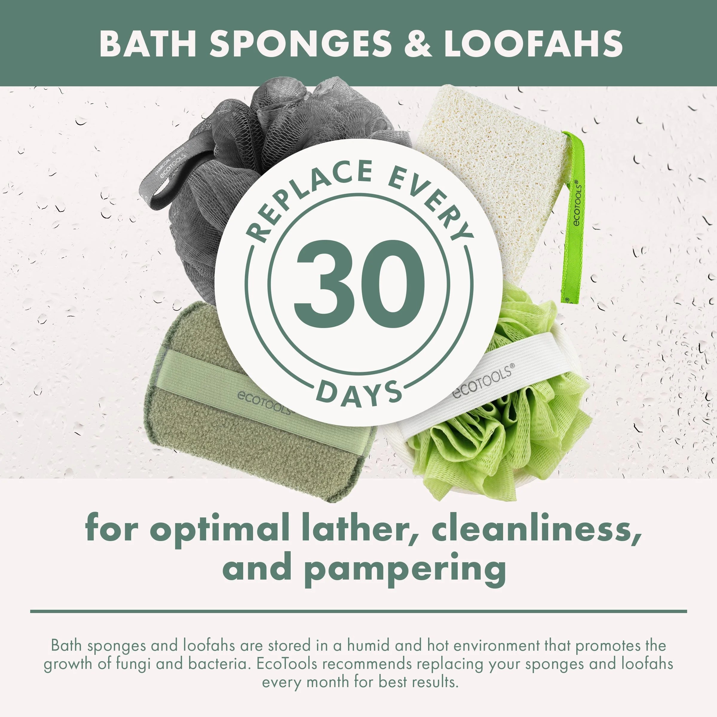 Charcoal Bath Sponge, Black Loofah for Body Cleansing & Exfoliating, for Adults, 1 Count - Timeless Beauty