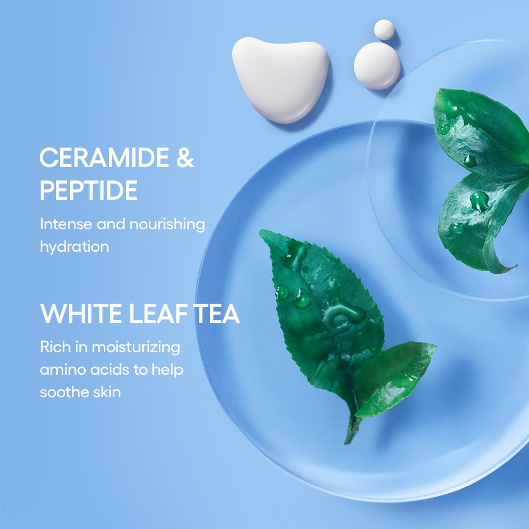Icons to Go Set: Cream Skin, Water Bank Cream, Lip Sleeping Mask, Water Sleeping Mask, Travel Size, Full Size, Hydrate, Barrier-Boosting - Timeless Beauty