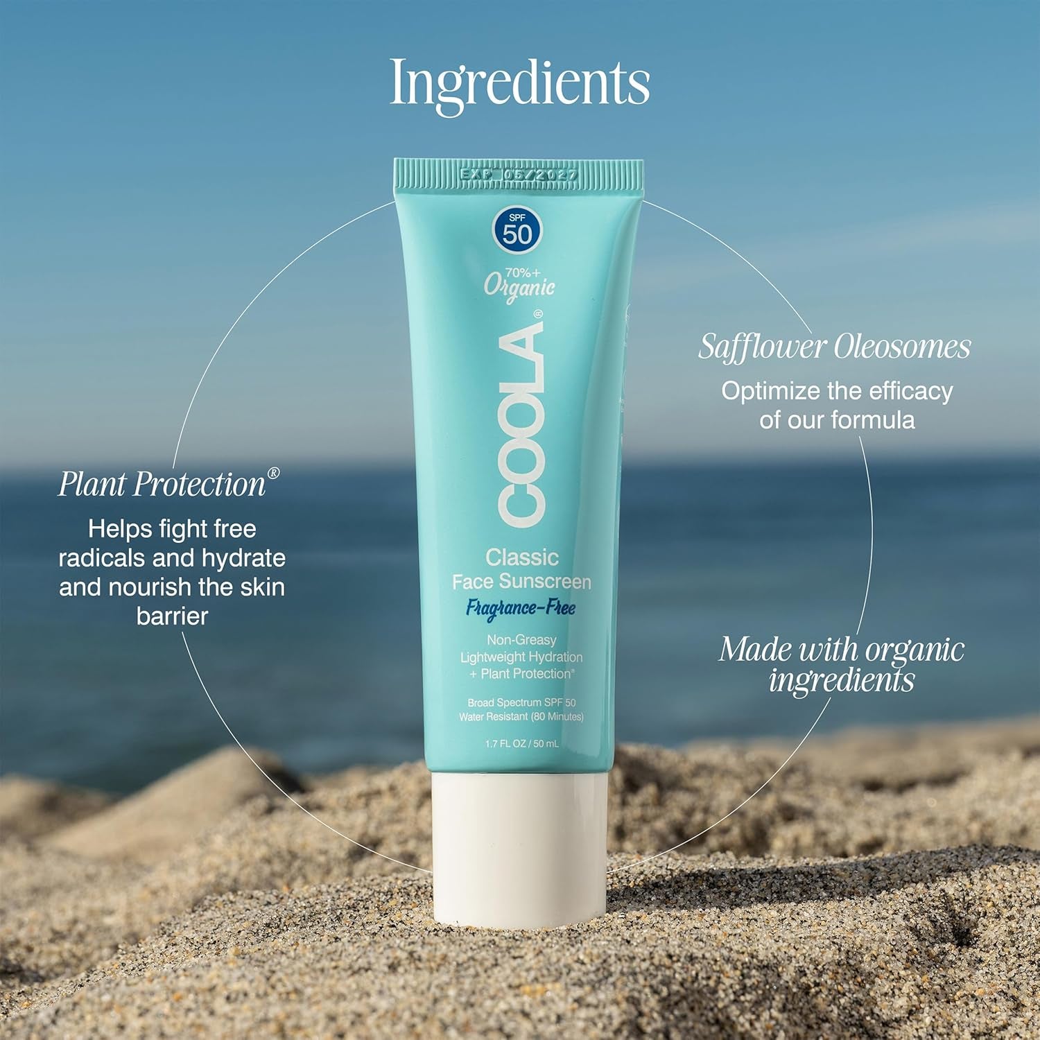 Organic Face Sunscreen SPF 50 Sunblock Lotion, Dermatologist Tested Skin Care for Daily Protection, Vegan and Gluten Free, Fragrance Free, 1.7 Fl Oz. - Timeless Beauty