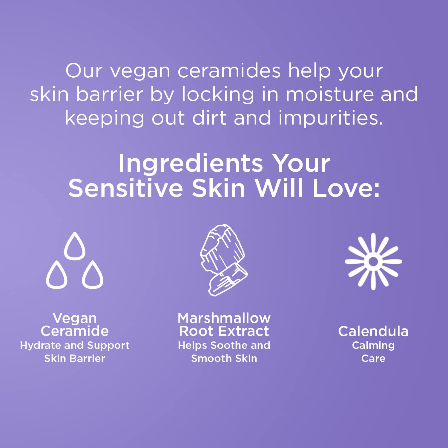 Face Wash Cleanser Vegan Ceramide Barrier Repair Extra Gentle for Daily Use Daily for Sensitive Skin, Fragrance Free, Calendula, Vegan &amp; Cruelty-Free Dermatologist Tested - Timeless Beauty