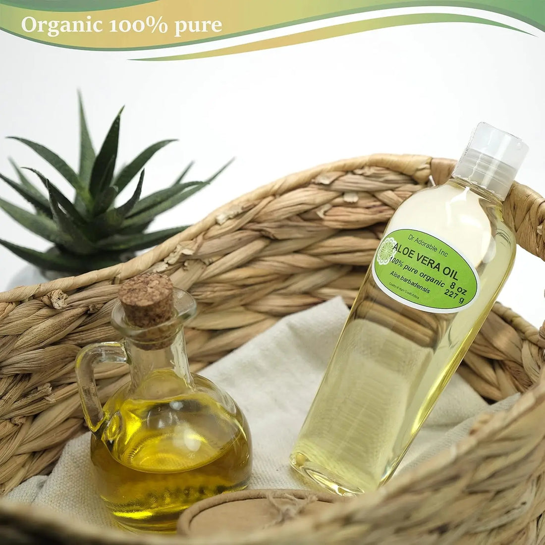 - 8 Oz - Aloe Vera Oil - 100% Pure Natural Organic - Timeless Beauty