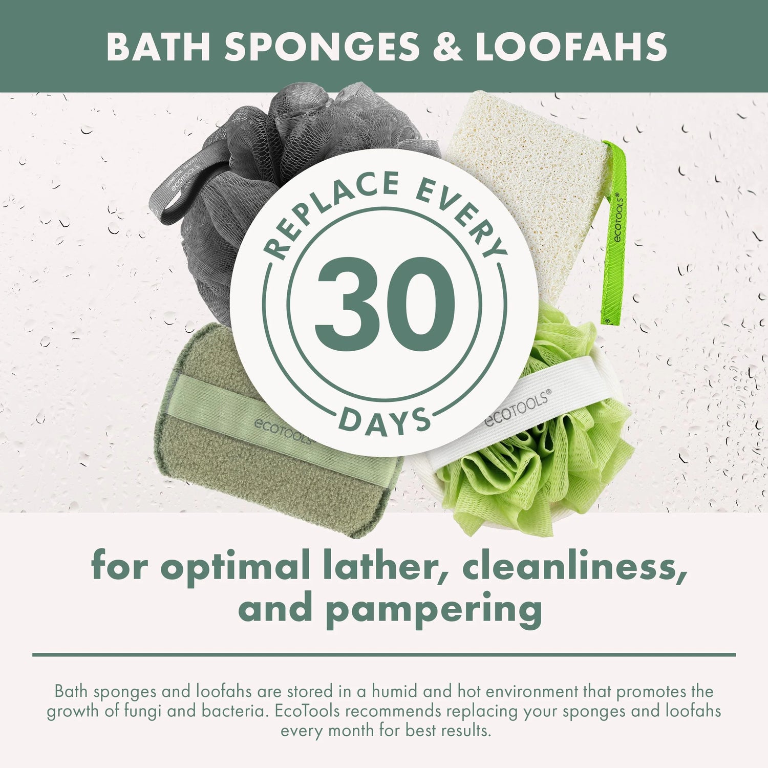 Charcoal Bath Sponge, Black Loofah for Body Cleansing &amp; Exfoliating, for Adults, 1 Count - Timeless Beauty