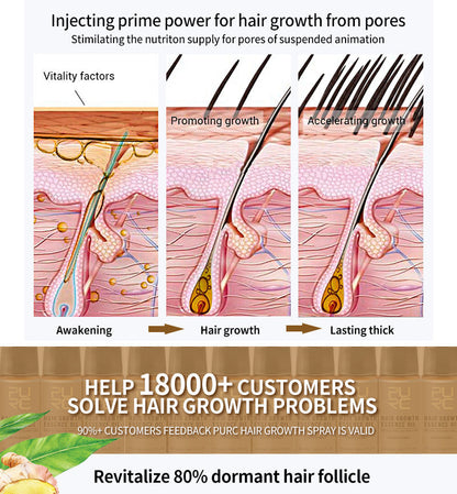 GingerGrow™ Professional Hair Care Kit - Timeless Beauty