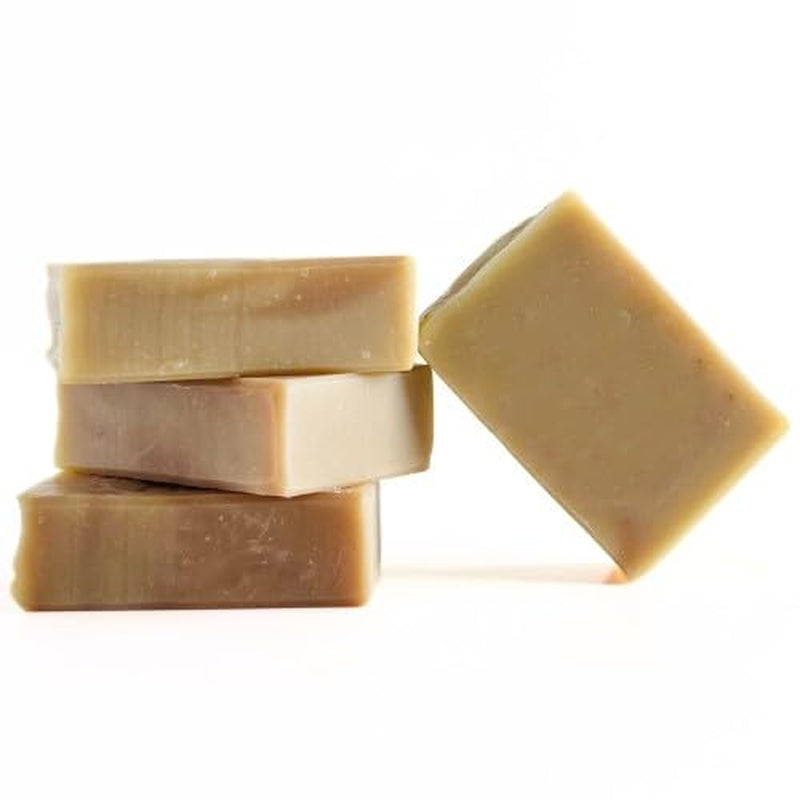 Arnica Aloe Vera with Rosemary Handcrafted Soap | Vegan | 100% Natural |Stimulates and Hydrating Properties for Hand, Face, &amp; Body | Miami-Made - 1 Bar - Timeless Beauty