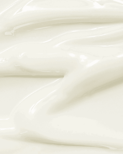 Beauty of Joseon Relief Sun : Rice + Probiotics (SPF50+ PA++++) Silver Abderus