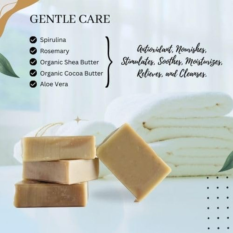Arnica Aloe Vera with Rosemary Handcrafted Soap | Vegan | 100% Natural |Stimulates and Hydrating Properties for Hand, Face, &amp; Body | Miami-Made - 1 Bar - Timeless Beauty